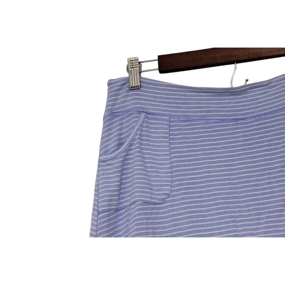 Fresh Produce Skirt Medium Periwinkle Striped Beach Coastal Resortwear Preppy - Picture 4 of 9